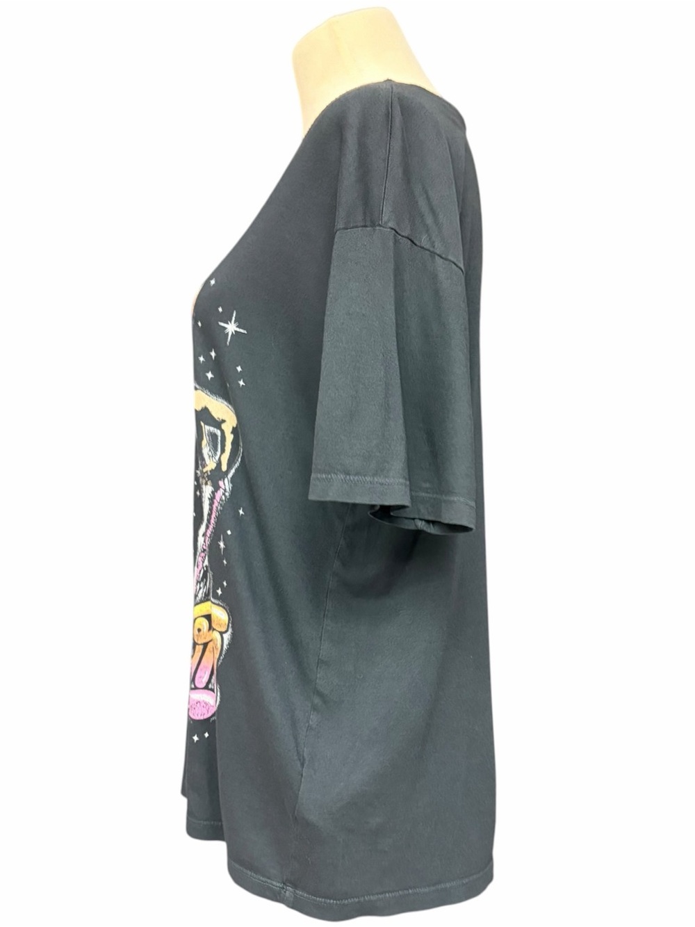 Daydreamer Elton John Graphic Tee with Pastel Print, Dark Gray, Size Small - Picture 5 of 10